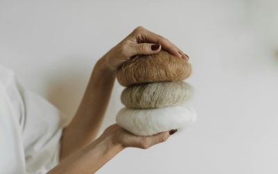 Du fil au pull – Connaissance des produits en maille